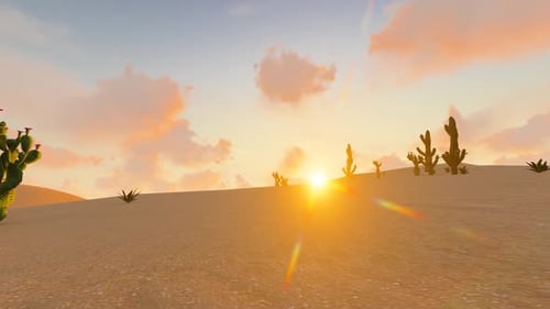 Desert Sunrise And Sunset Time Lapse And Desert Plants