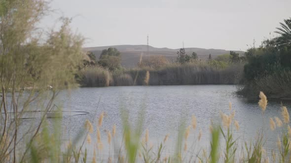 Neot Smadar Kibbutz Irrigation Pond View with Floating Water Pump ...