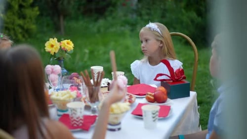 Charming Girl Talking in Slow Motion with Friends Sitting at Birthday Party in Summer Park Portrait