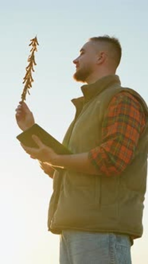 Agronomist Examining Soybean Plant Quality with Tablet
