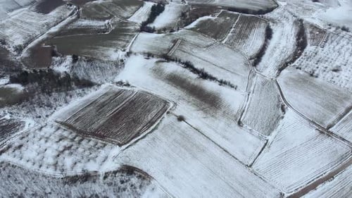 Aerial Bird’s eye view of winter snowy mountain agriculture fields tilt up day
