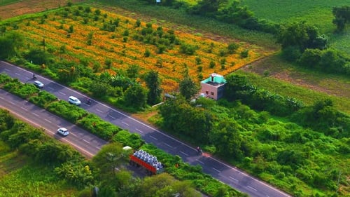Aerial View of Rural Road with Cars and Trucks