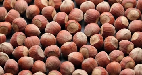 Fresh Hazelnuts Overhead Close-Up Food Still Life