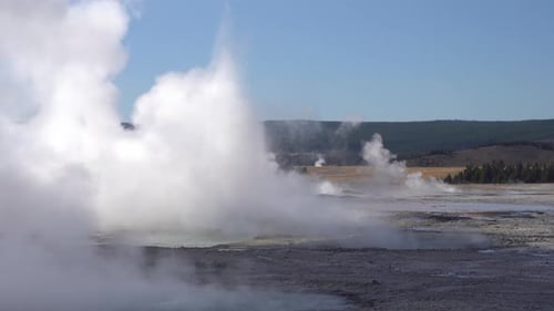 Erupting Geyser and Steam in Yellowstone National Park, Wyoming USA