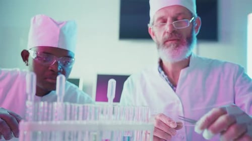 Scientists Analyzing Test Tubes in Laboratory