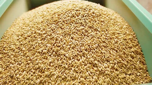 Fábrica de producción de cerveza artesanal Fabricación de cerveza
