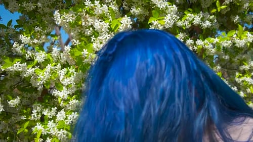 Spring Allergy Concept