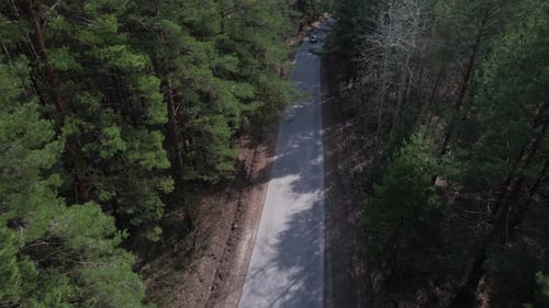 Autos auf der Waldstraße, Ansicht von oben