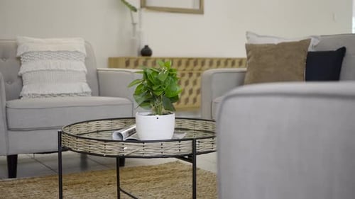 Elegant Living Room Interior Design with Natural Light