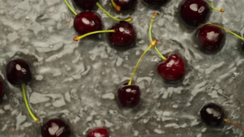 Fresh Ripe Cherries Falling in Water