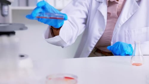 Scientist Examining Petri Dish Under Microscope in Lab