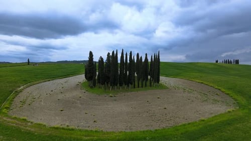 Aerial View of The Cypress In Tuscany