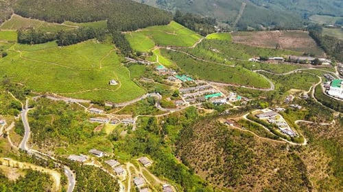 Vue par drone du jardin de thé de Munnar et de la route de Gap