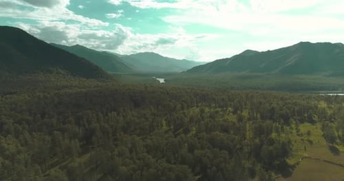 Aerial View Low Flight Above Evergreen Pine Tree Landscape with Endless Mountain Forest at Sunny