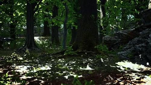 Large and Long Tree Roots with Moss