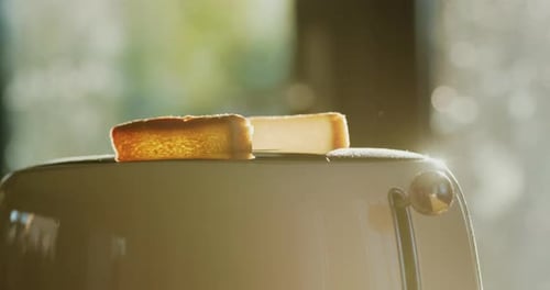 Bread Falling into Toaster in Golden Sunlight