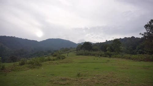 beautiful natural views of mountains, panoramic views of hills, and forests of tall green trees