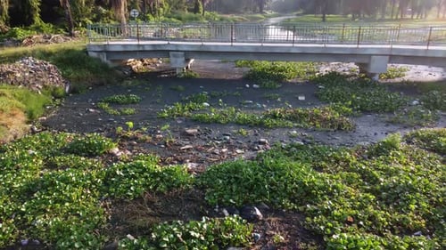 Mover over garbage and green plant cover the river