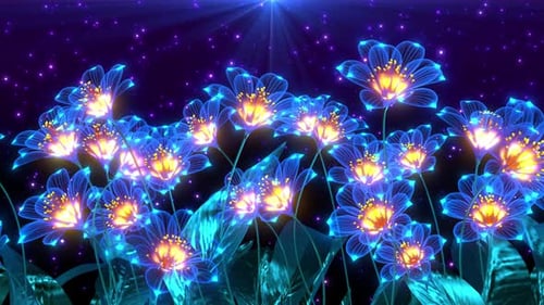 Night Flowers
