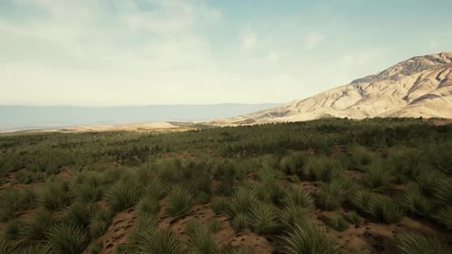 Sand Desert with Some Grass