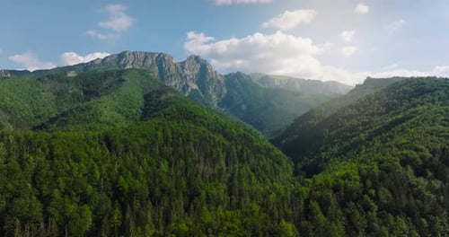 Aerial View of Beautiful Mountain Landscape in Summer Forest and Rocks