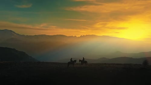 Aerial View Horses on the Mountain at Sunset