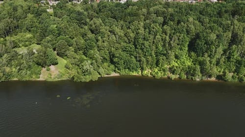 Die Küste des Sees ist an einem sonnigen Sommertag mit grünen Bäumen bedeckt.
