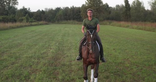 Slow motion of young carefree male is riding a purebred brown horse in nature on a sunset.