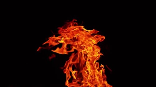 Red hot flame rising high into the air. Big campfire burning at night. Close up.