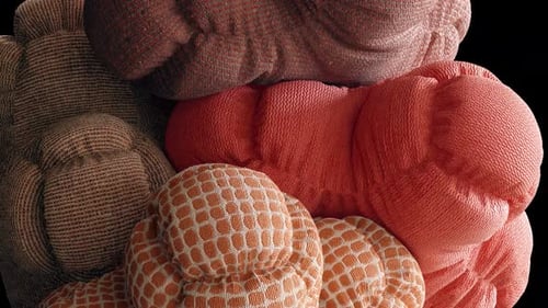 Haufen weicher Körper, die sich um 3D-Animation drehen