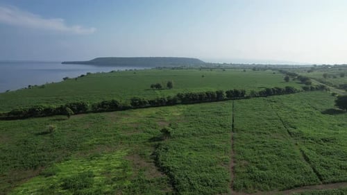 Grünes Feld mit Moyo Island-Hintergrund