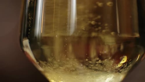 Champagne Bubbles Fill a Glass
