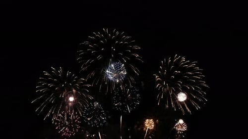 Brilliant Fireworks Exploding in the Night Sky