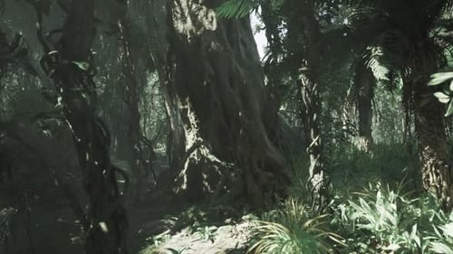 Mystical Humid Path Beneath Canopy of Mossladen Branches and Sunlight