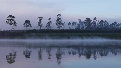 Reflection of misty lake in the early morning