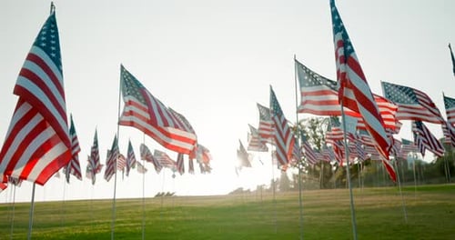 American Flags Waving on Grassy Hill on Bright Day