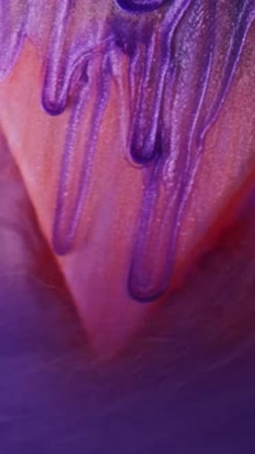 Colorful Purple and Red Fluid Flows Together