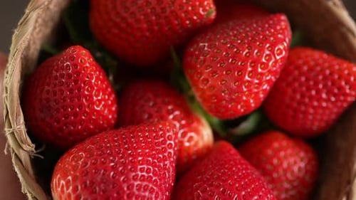 A Tray of Fresh Strawberries 73