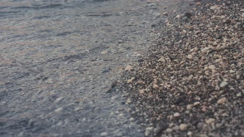 Beach in Summer