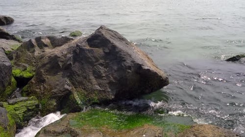 Ocean waves rolling over the seaweed covered rocks at the shore.