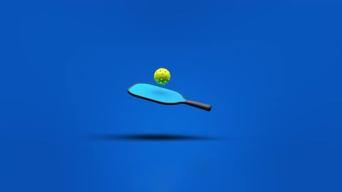 Seamless Loop Pickleball and Paddle