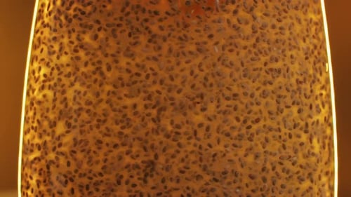 Close up Shot of Chia Seeds Floating