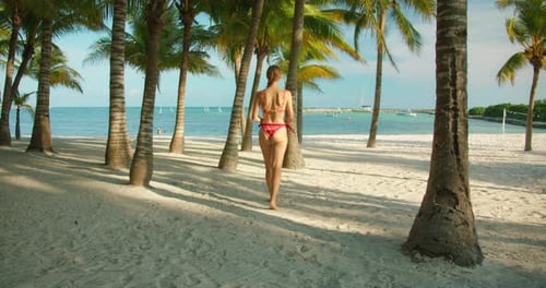 Woman walking on white sandy beach among palm trees near the ocean shore