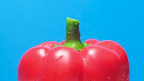 Close Up of Fresh Red Bell Pepper on Blue
