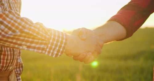 Handshake Cropped View of the Senior Farmer Greeting with Handshake with His Young Colleague While