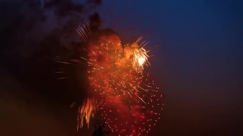 Vibrant Fireworks Bursting in the Night Sky