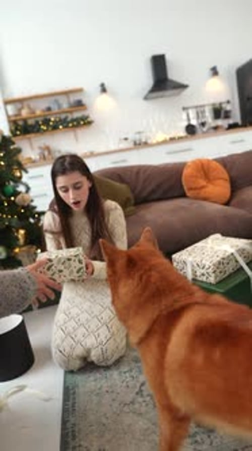Couple Exchanging Gifts with Dog at Christmas