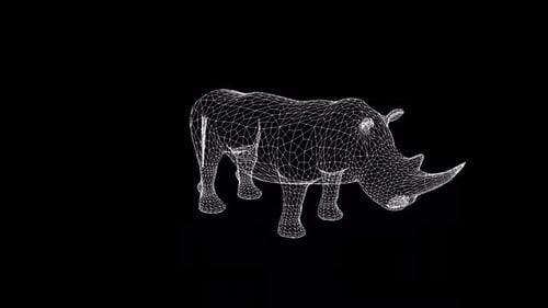Rhinoceros Wireframe