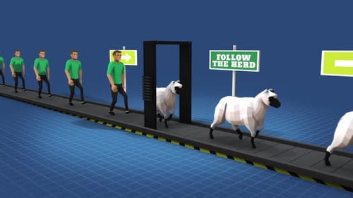 Infográfico Siga o rebanho 04