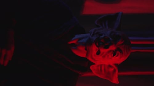 Creepy Pig Mask in Dark Lighting